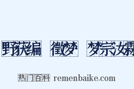 野获编·徵梦·梦宗汝霖是什么意思的图片